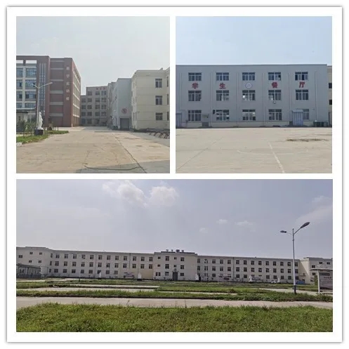 你好，新同学——菏泽交通高级技工学校2025年开学季（一）插图